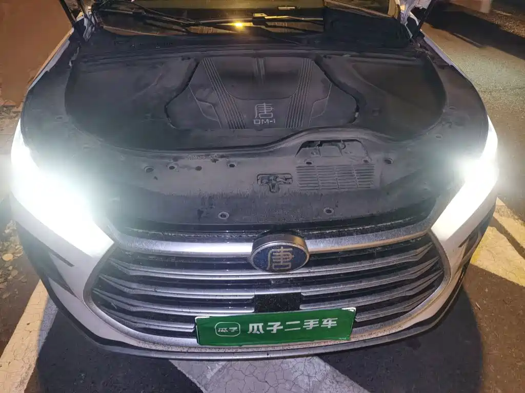 BYD Tang New Energy — фото 21