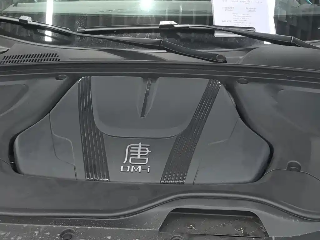 BYD Tang New Energy — фото 13