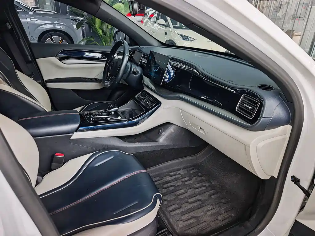 BYD Qin PLUS — фото 13