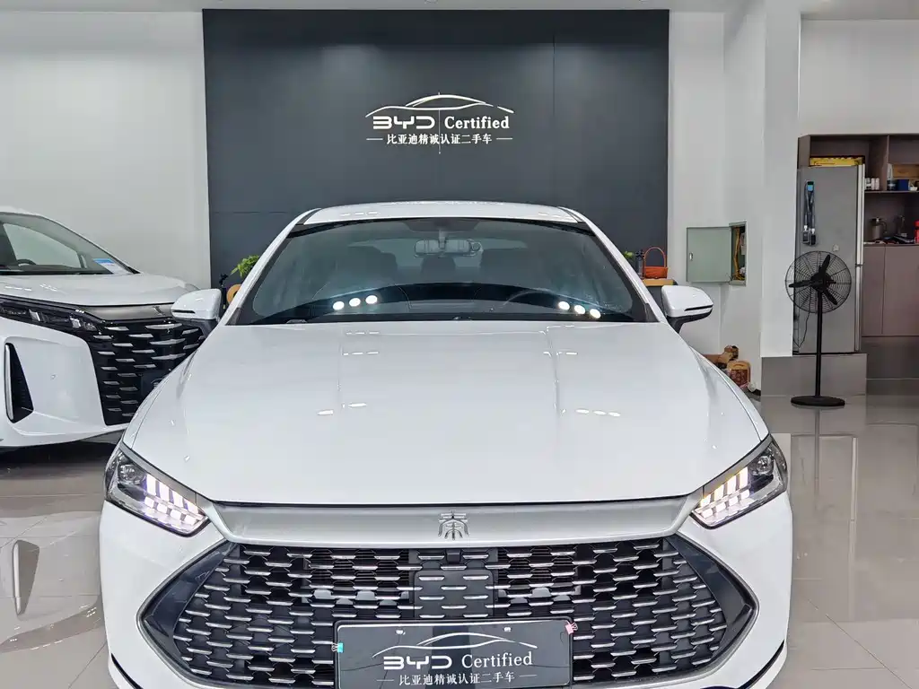 BYD Qin PLUS — фото 2