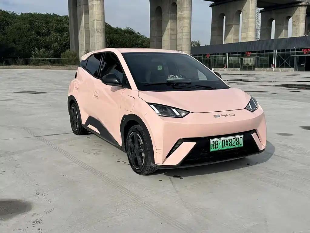 BYD Seagull