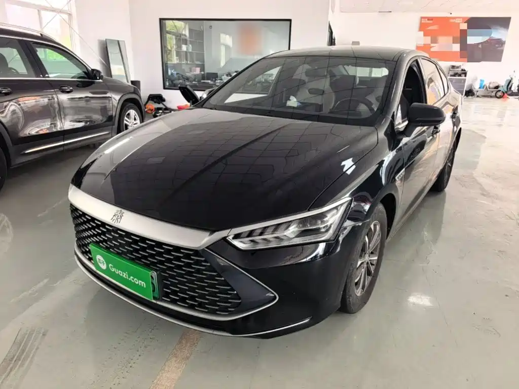BYD Qin PLUS — фото 2