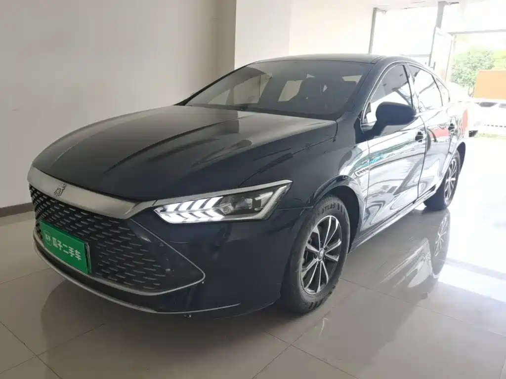 BYD Qin PLUS — фото 2