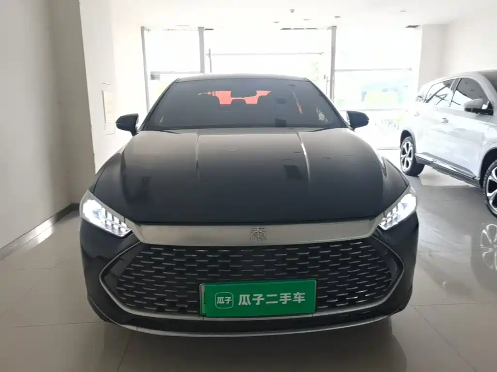 BYD Qin PLUS — фото 3