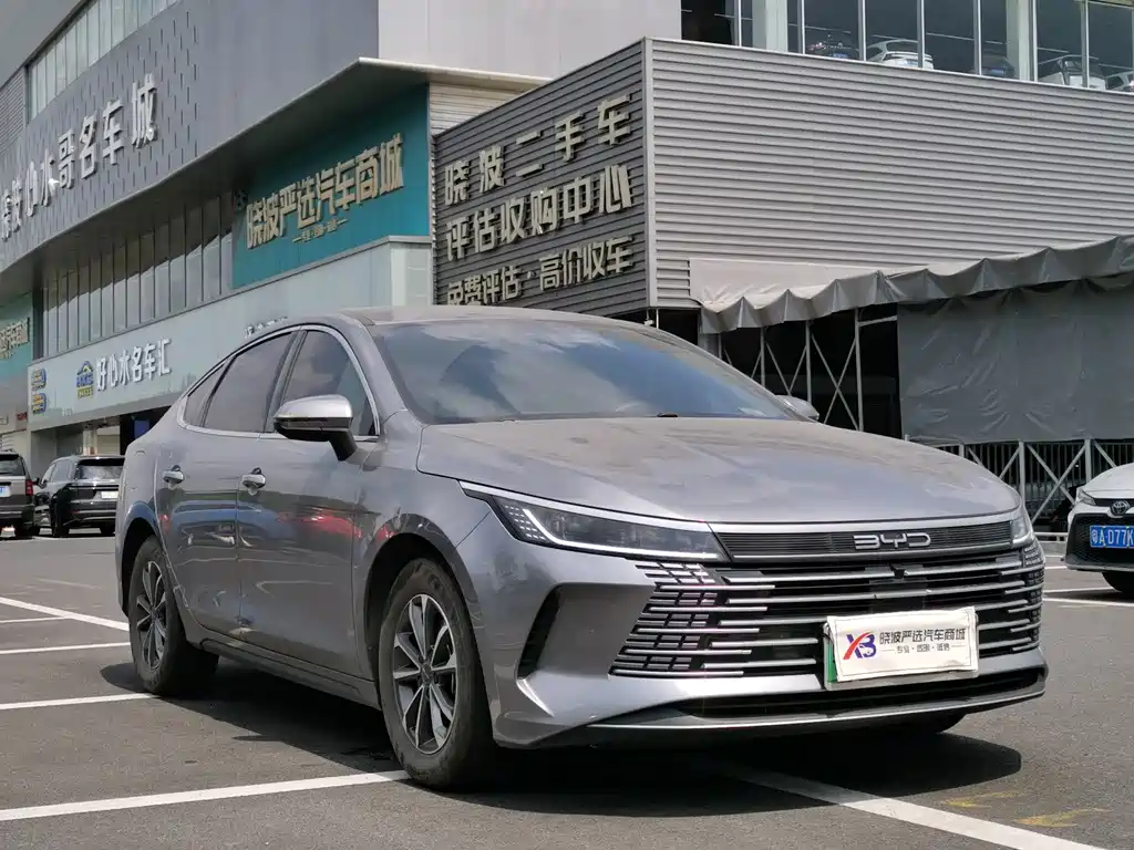 BYD Destroyer 05 — фото 3