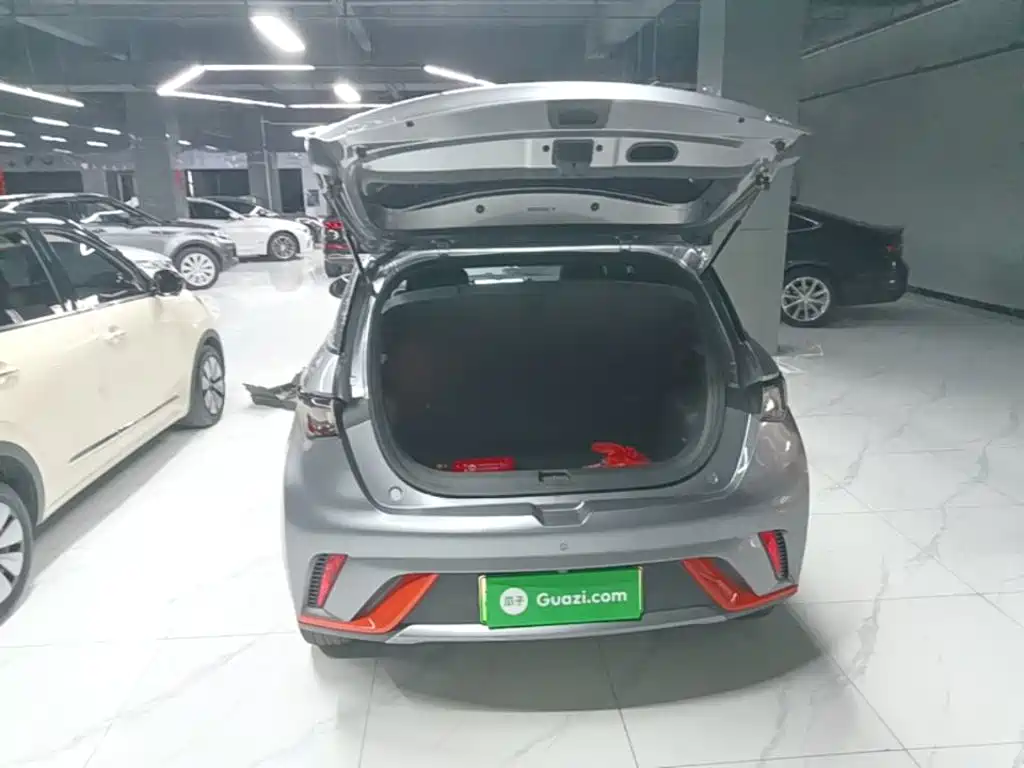 BYD Dolphin — фото 19