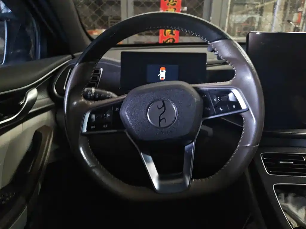 BYD Qin PLUS — фото 11