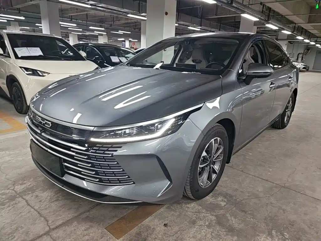 BYD Destroyer 05 — фото 2