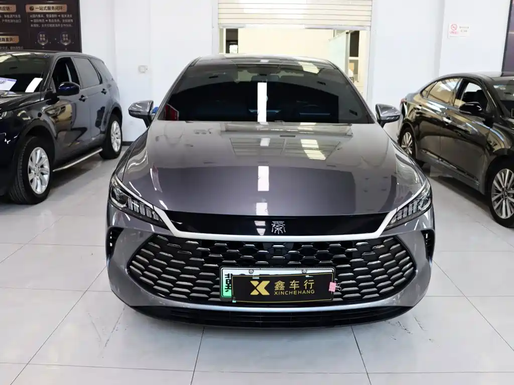 BYD Qin PLUS — фото 2