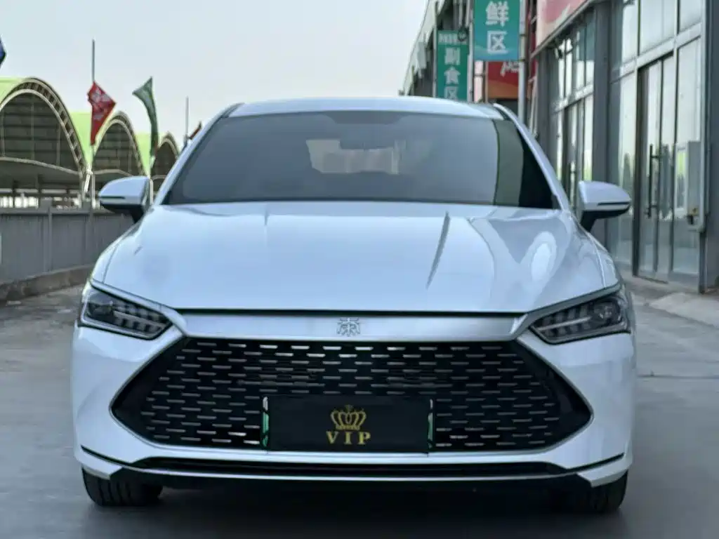 BYD Qin PLUS — фото 2