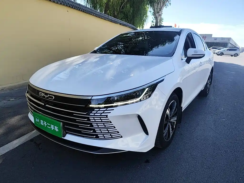BYD Destroyer 05 — фото 2