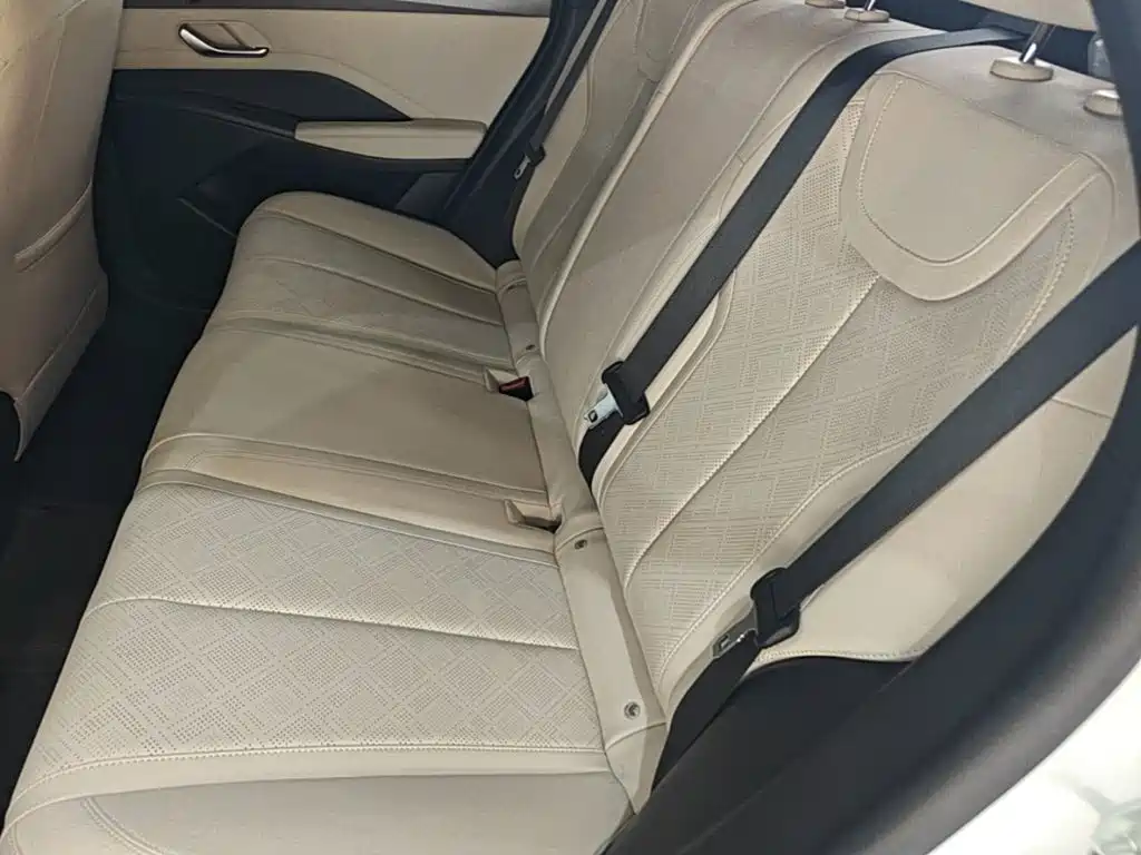 BYD Qin PLUS — фото 17