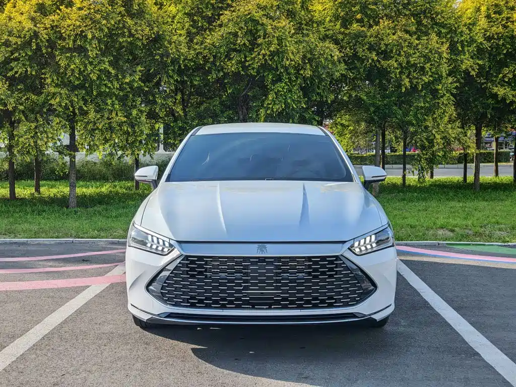 BYD Qin PLUS — фото 4