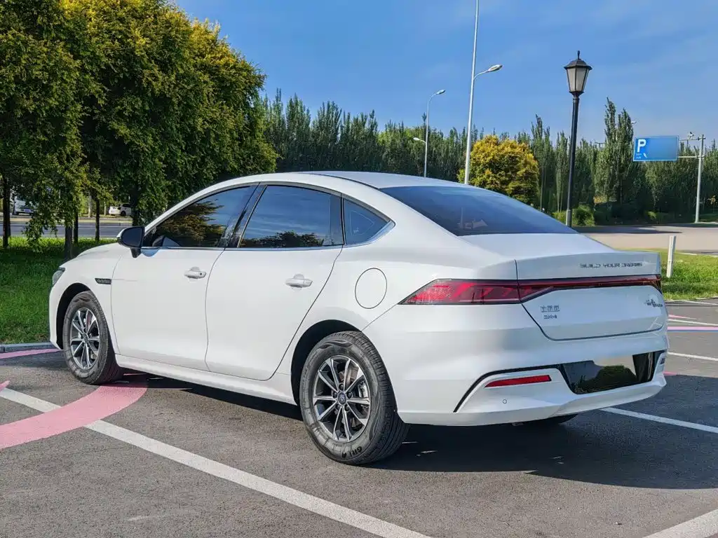 BYD Qin PLUS — фото 6