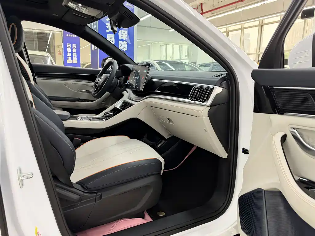 BYD PLUS New Energy — фото 11