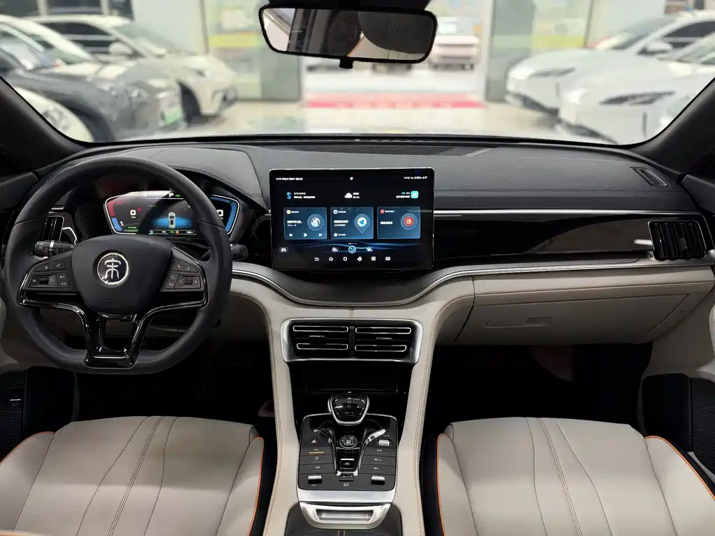 BYD PLUS New Energy — фото 15