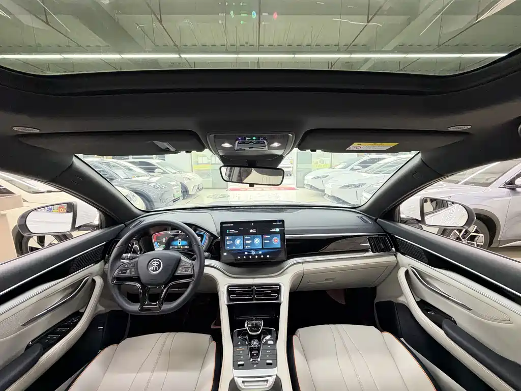 BYD PLUS New Energy — фото 17
