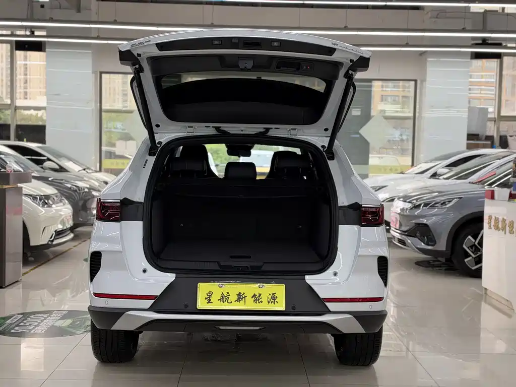 BYD PLUS New Energy — фото 8