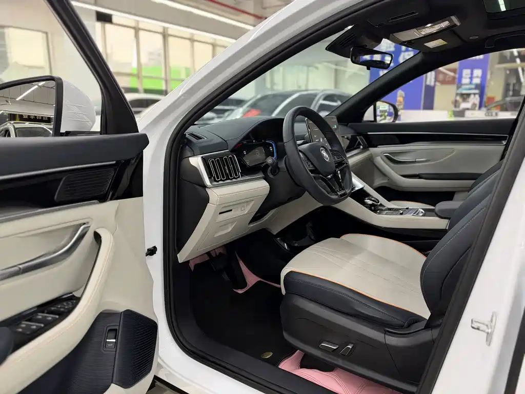 BYD PLUS New Energy — фото 9