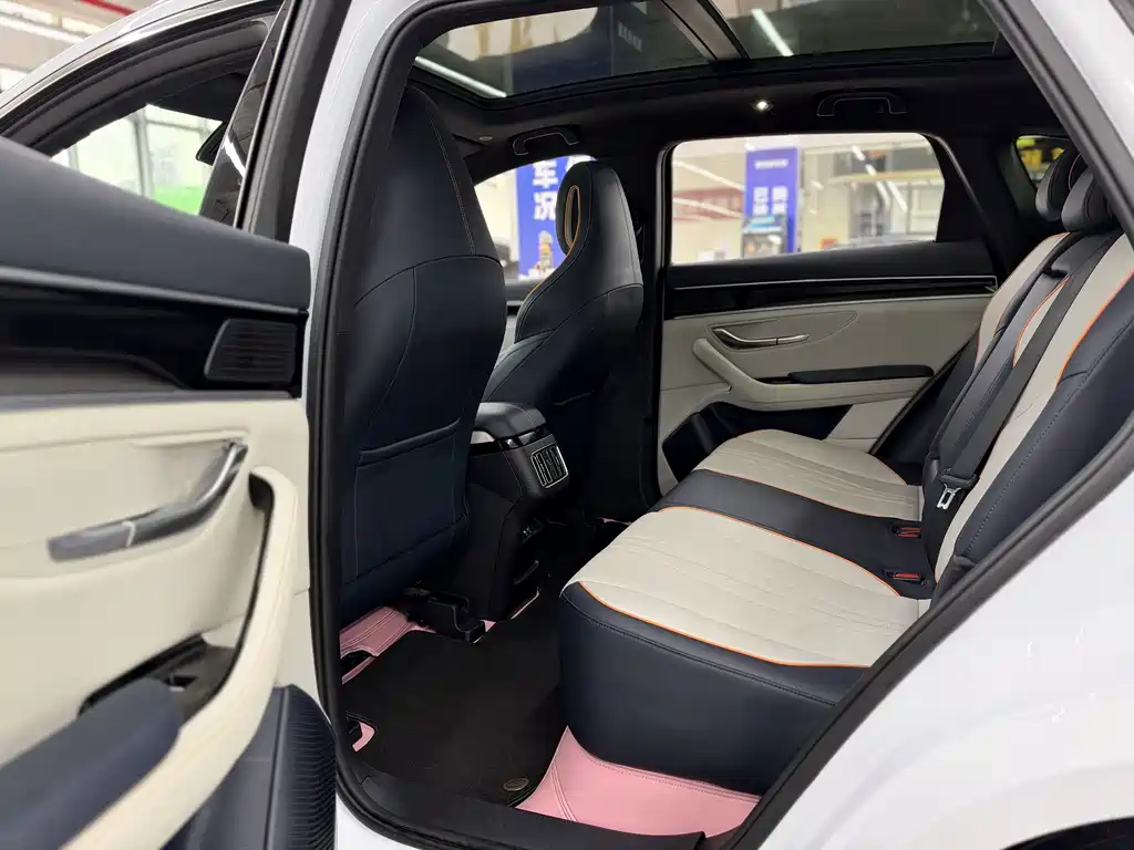BYD PLUS New Energy — фото 10