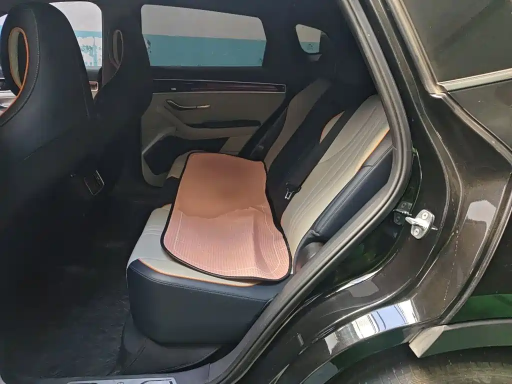 BYD PLUS New Energy — фото 13