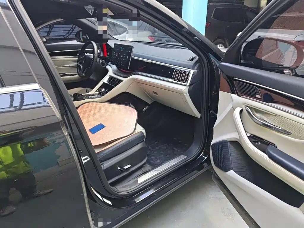 BYD PLUS New Energy — фото 19