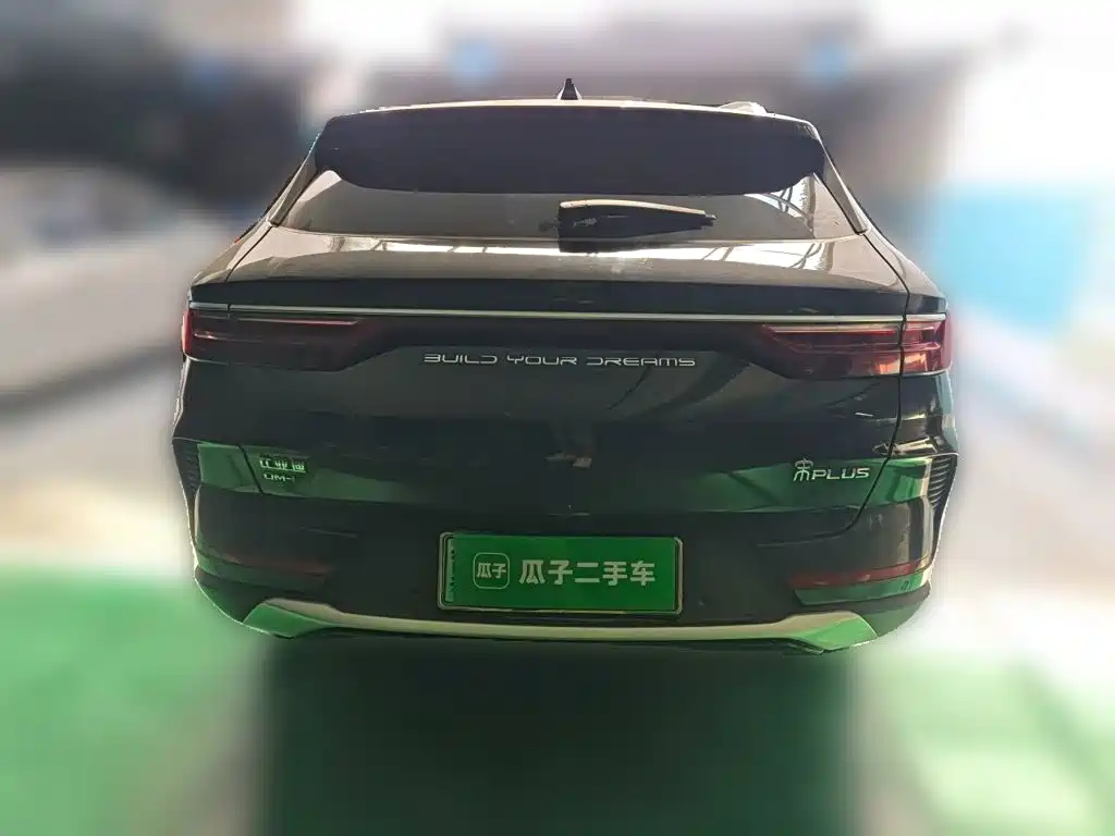 BYD PLUS New Energy — фото 3