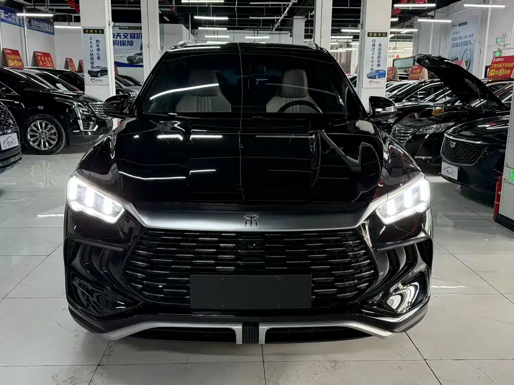 BYD Pro New Energy — фото 2
