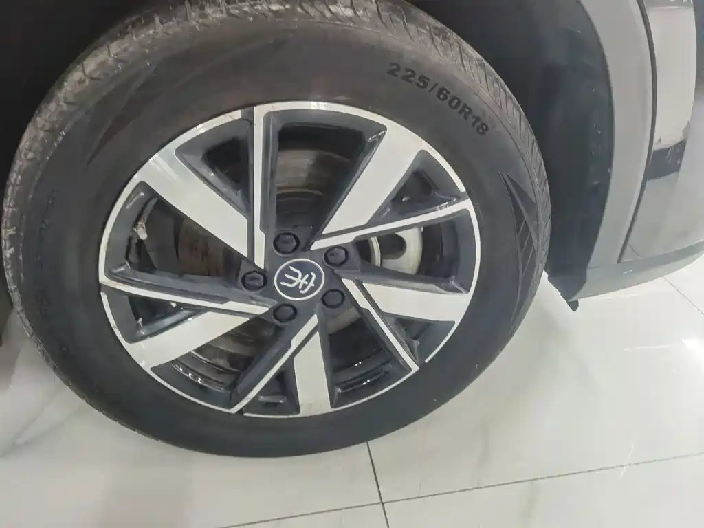 BYD Pro New Energy — фото 20