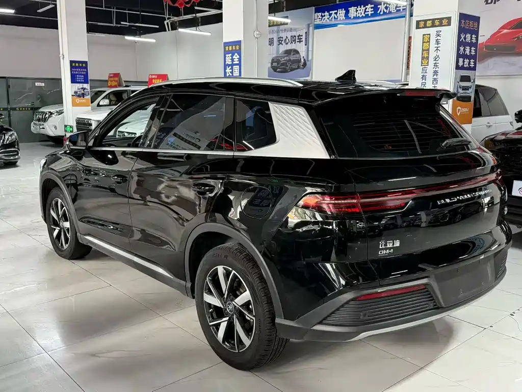 BYD Pro New Energy — фото 4