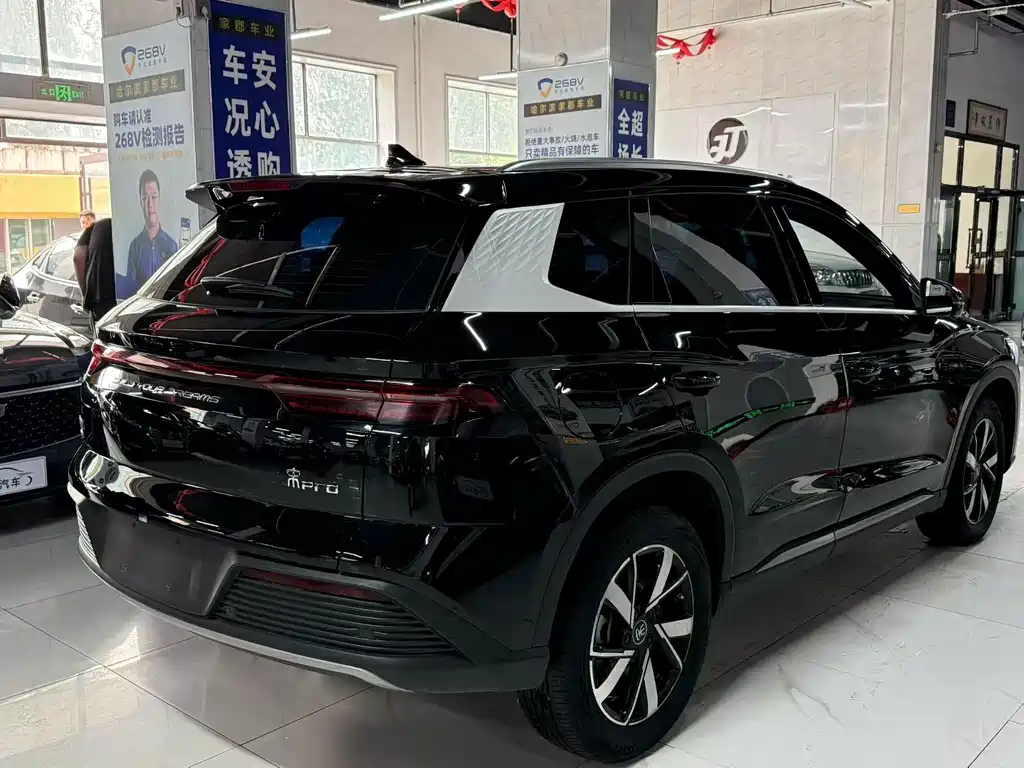 BYD Pro New Energy — фото 5