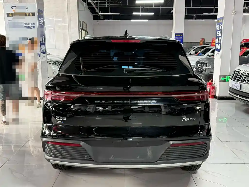 BYD Pro New Energy — фото 6