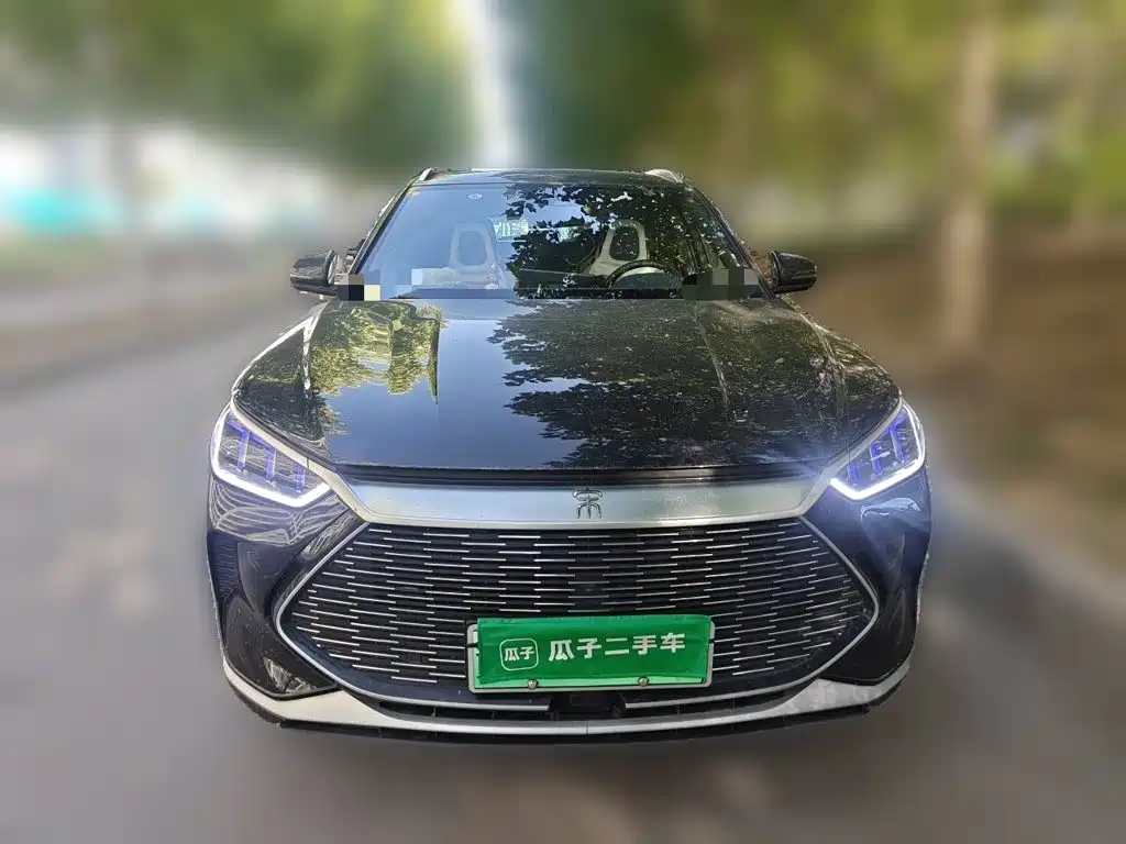 BYD PLUS New Energy — фото 2
