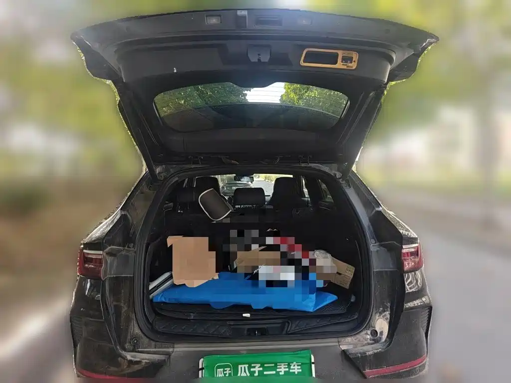 BYD PLUS New Energy — фото 15