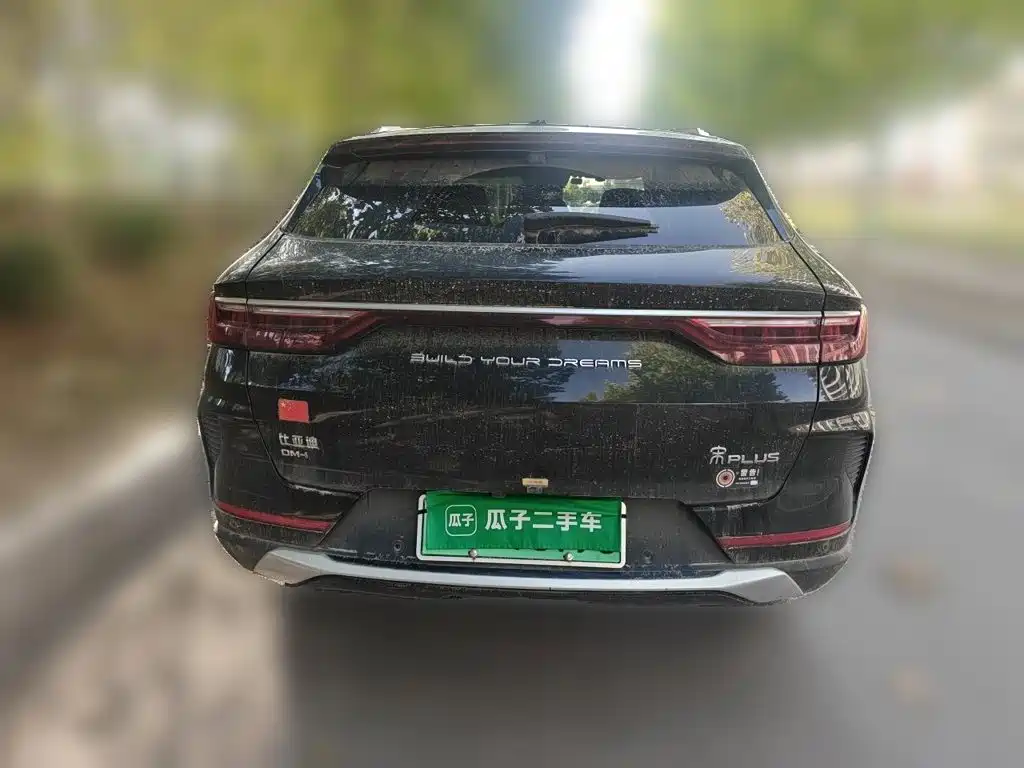 BYD PLUS New Energy — фото 3