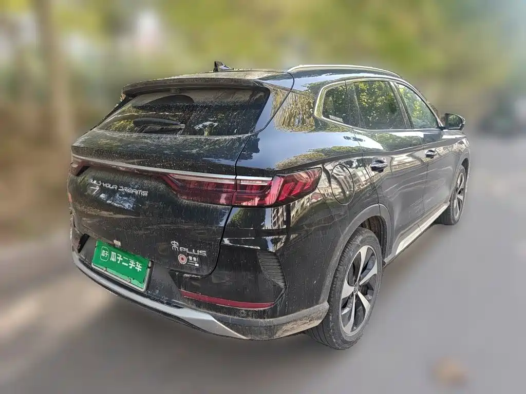 BYD PLUS New Energy — фото 4