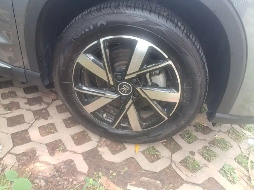 BYD Pro New Energy — фото 25
