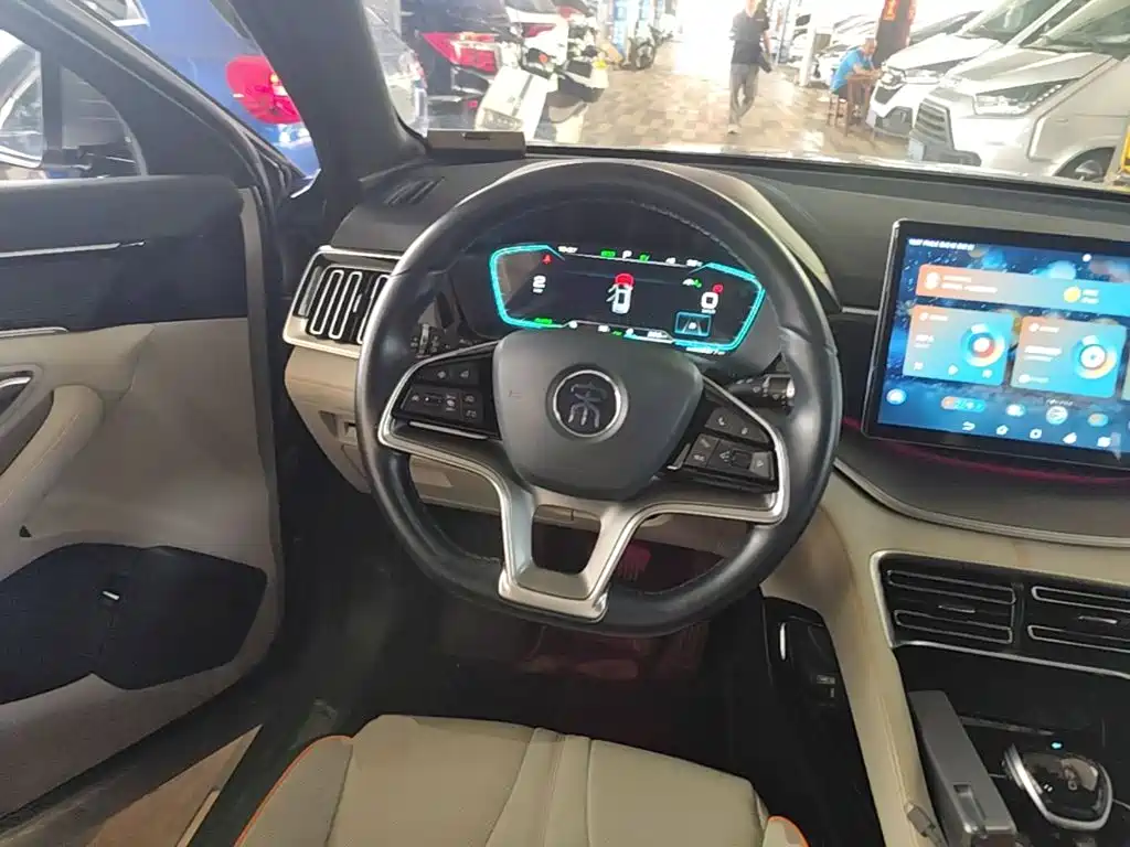 BYD PLUS New Energy — фото 11