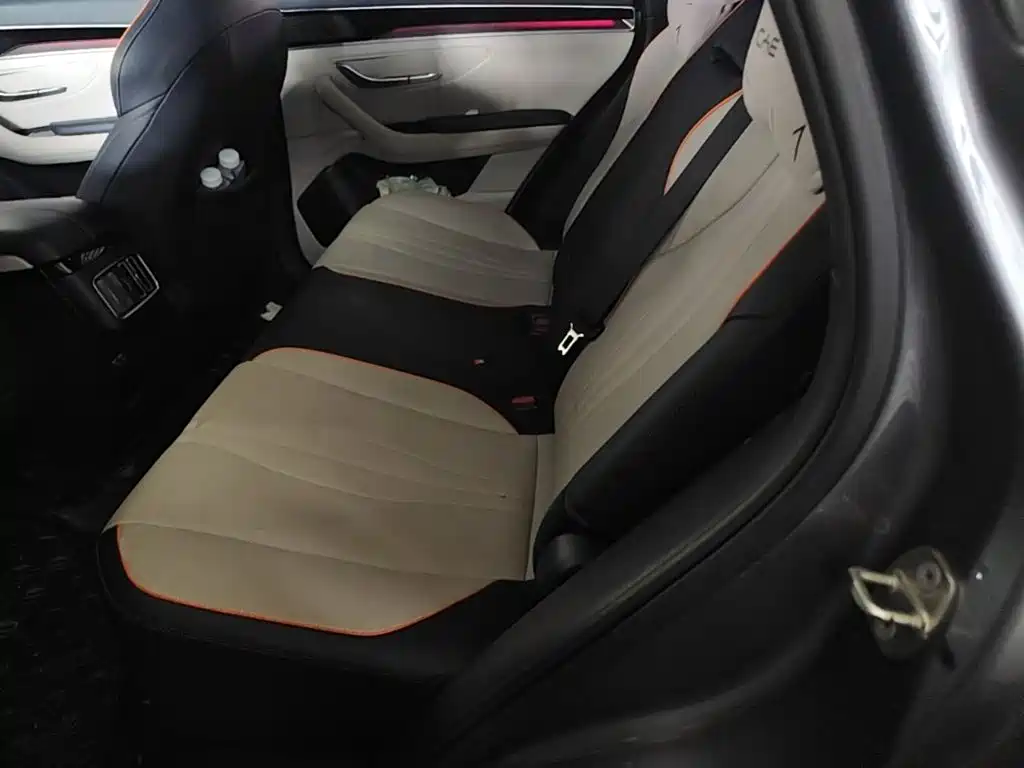 BYD PLUS New Energy — фото 17