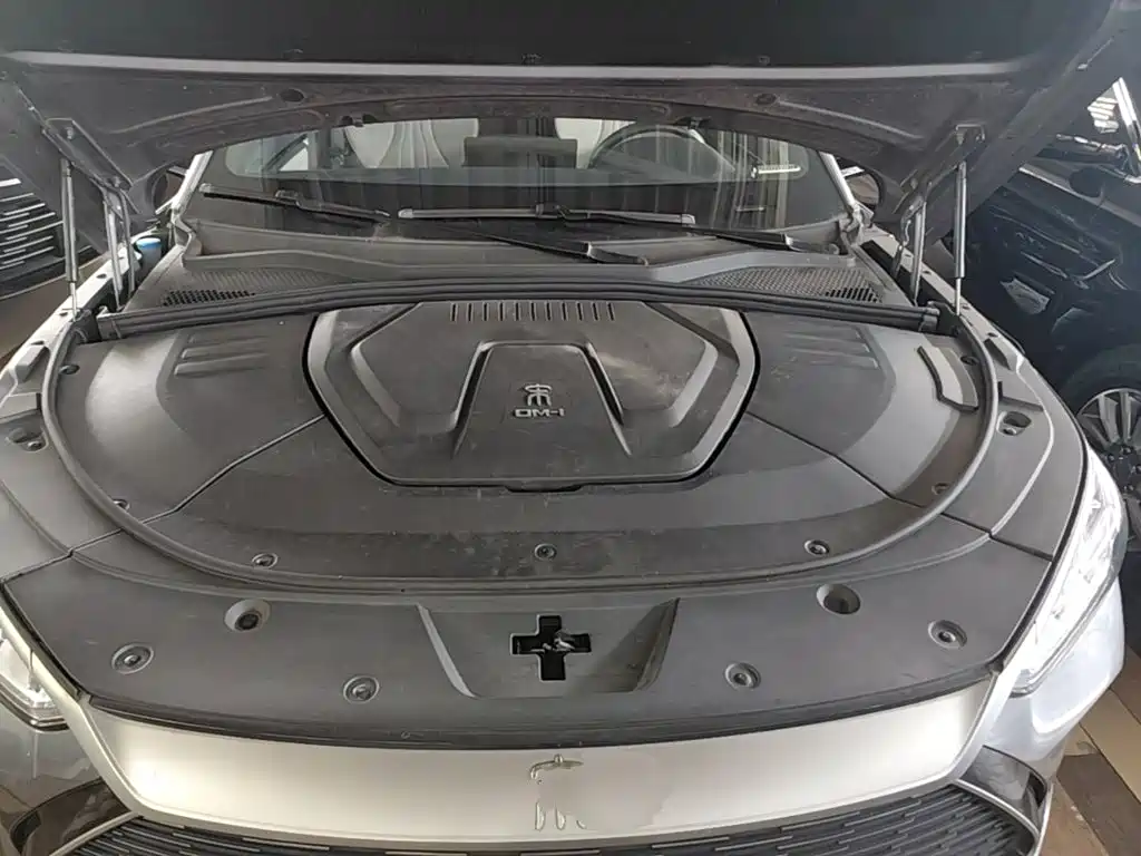 BYD PLUS New Energy — фото 20
