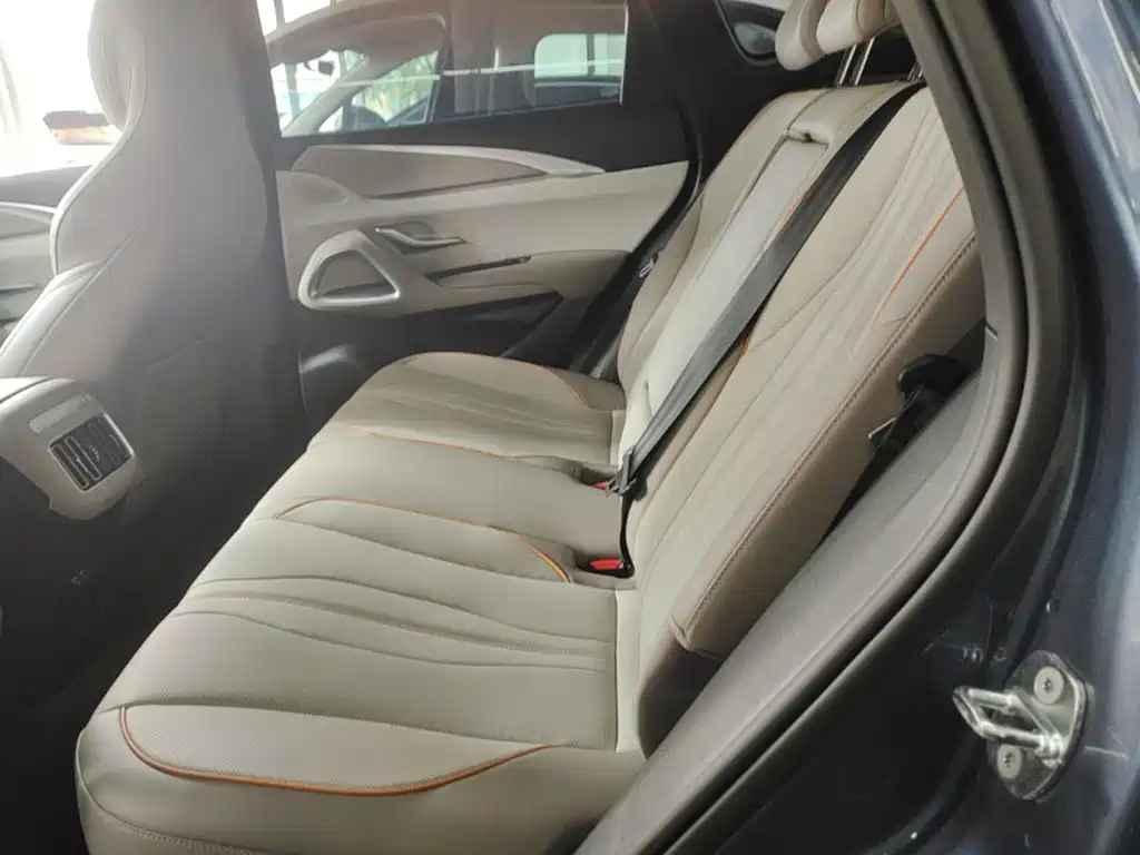 BYD Pro New Energy — фото 17