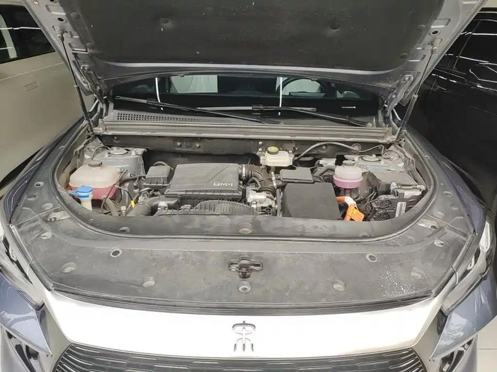 BYD Pro New Energy — фото 20