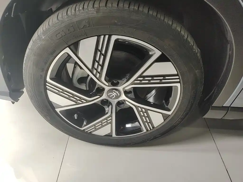 BYD Pro New Energy — фото 23