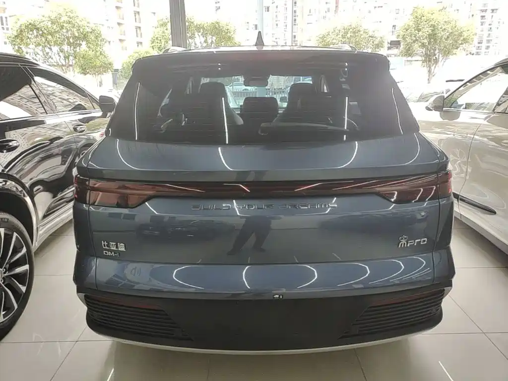BYD Pro New Energy — фото 6