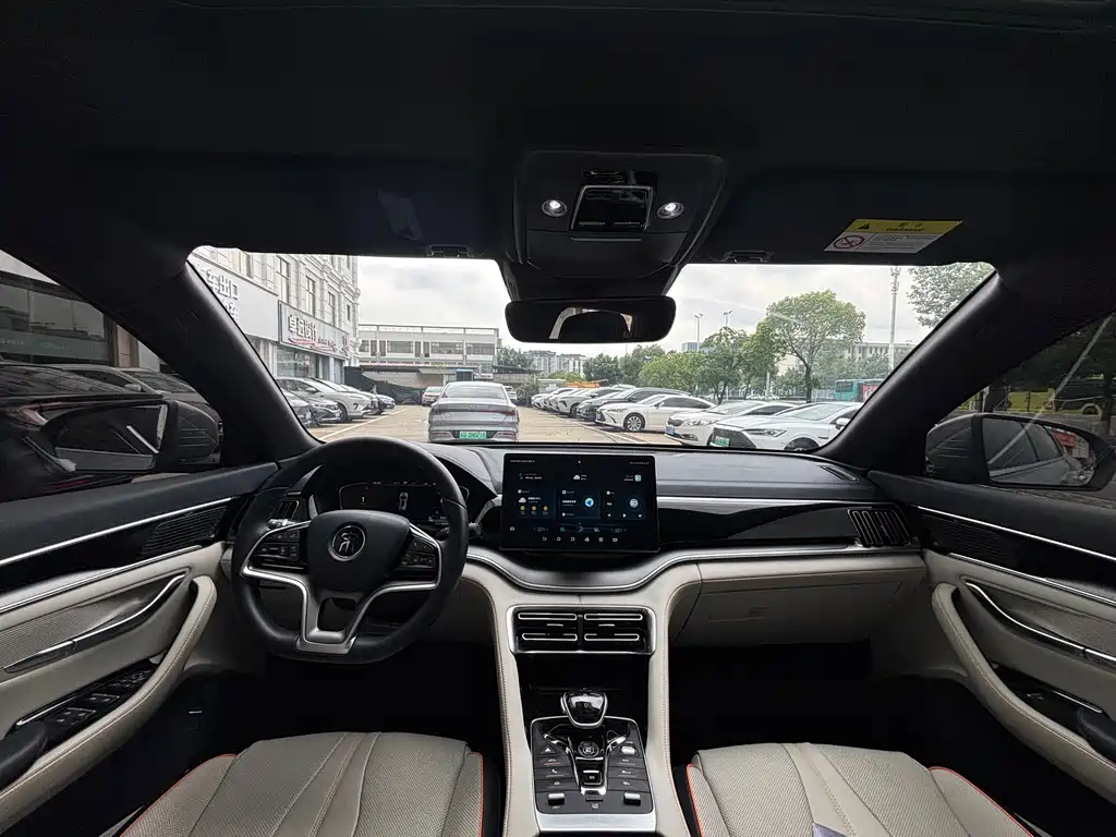 BYD PLUS New Energy — фото 10
