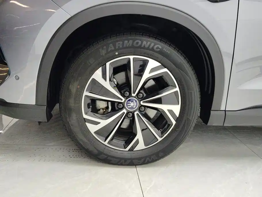 BYD Pro New Energy — фото 6