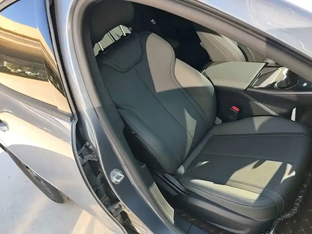 BYD Qin PLUS — фото 25