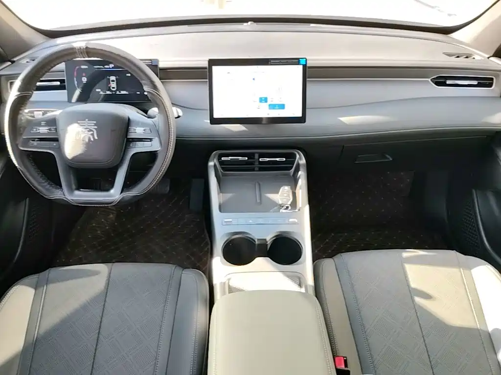 BYD Qin PLUS — фото 10
