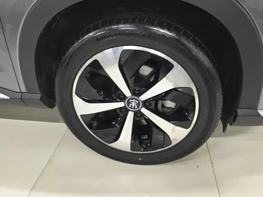 BYD PLUS New Energy — фото 6