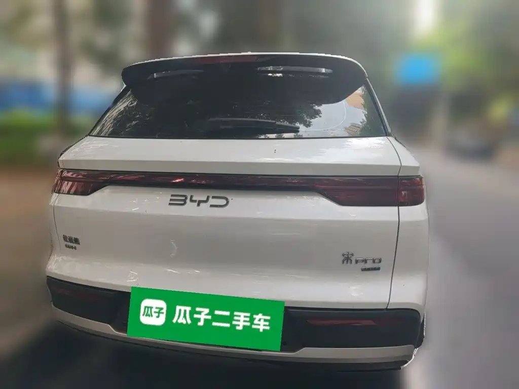 BYD Pro New Energy — фото 3